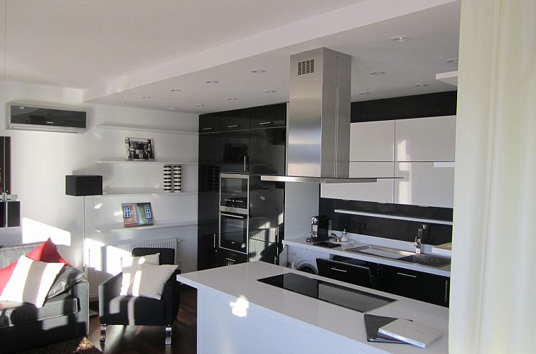 Appartement Penthouse mit Donaublick