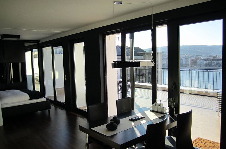 Appartement Penthouse mit Donaublick