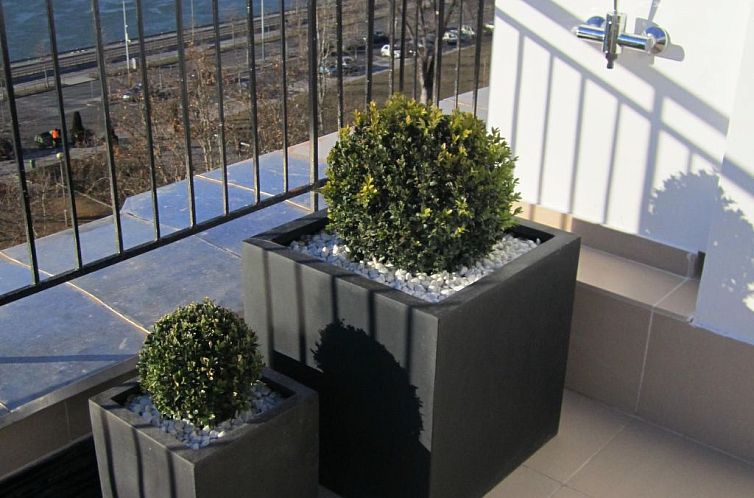 Appartement Penthouse mit Donaublick