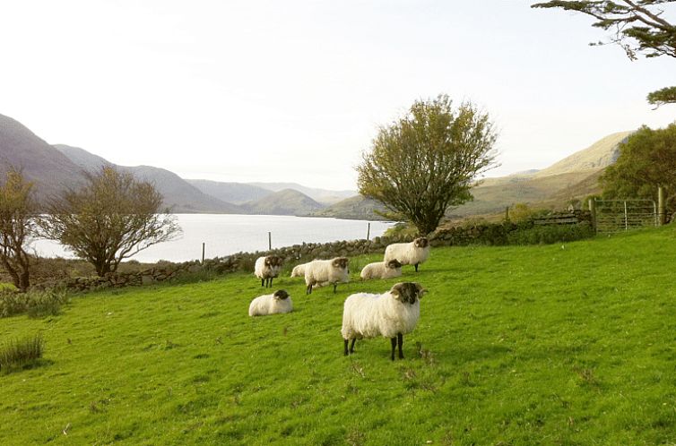Vakantiehuisje in Finney, Co Mayo