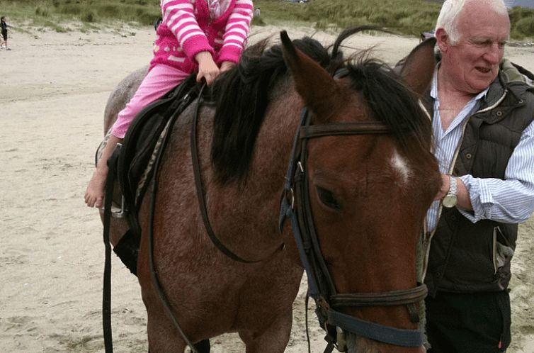 Vakantiehuisje in Finney, Co Mayo