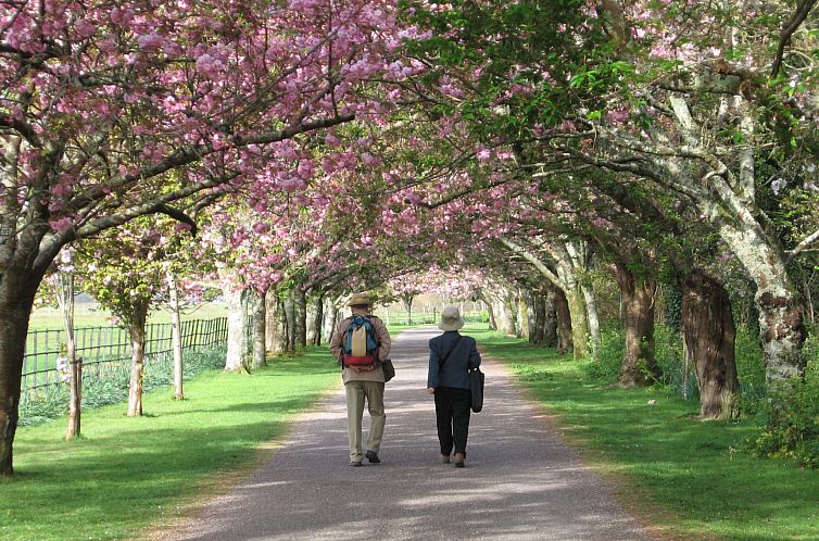 Appartement Grove Lodge No 5 (2 Bed)