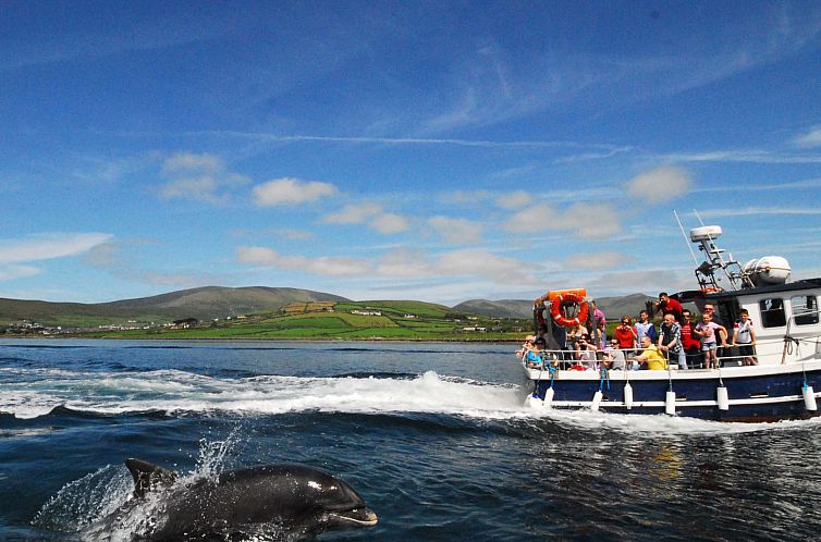 Appartement Dingle HC (S7)(TR4)  No 13