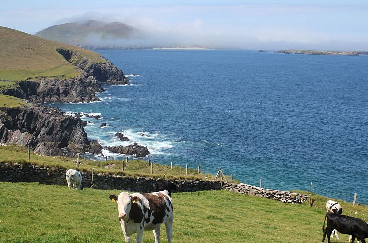 Vakantiehuis An Searrach Holiday Home Dingle