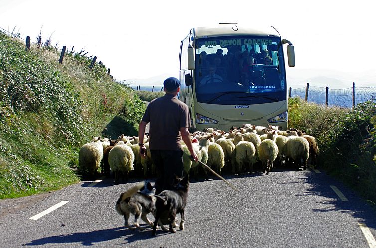 Vakantiehuis Dingle Bay View (TR2)