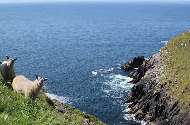 Vakantiehuis Dingle Bay View (TR2)
