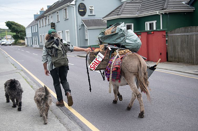 Appartement Dingle HC(TR4) No 1 - A