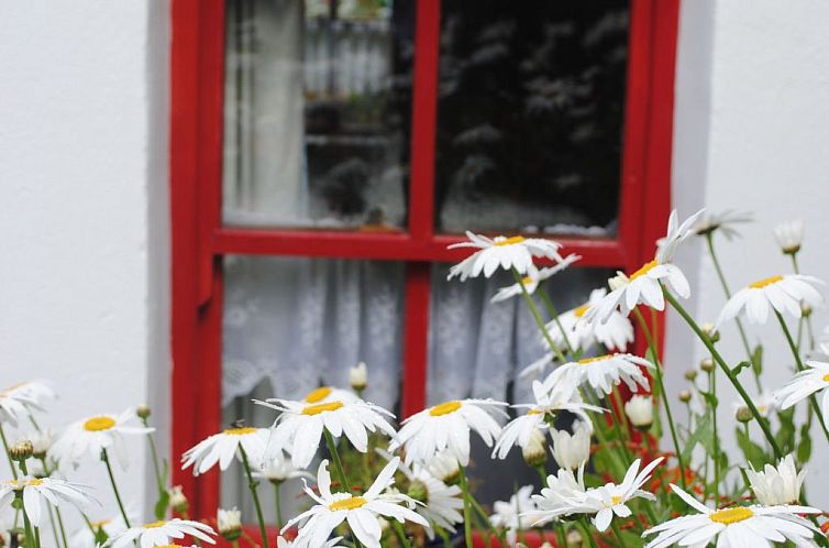 Vakantiehuis Minie's Cottage Wild Atlantic Way