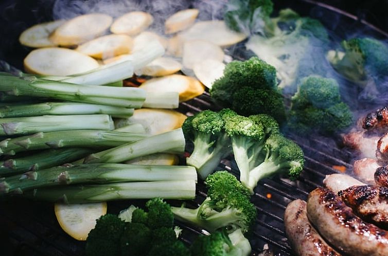 Vakantiehuis in Koudum