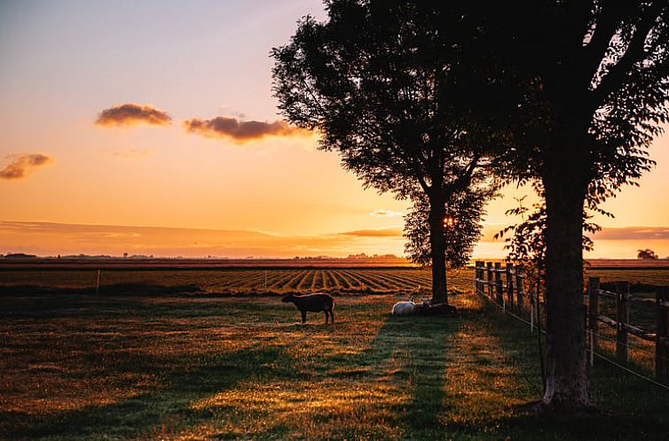 Vakantiehuis in Koudum