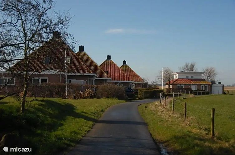 De Fuut