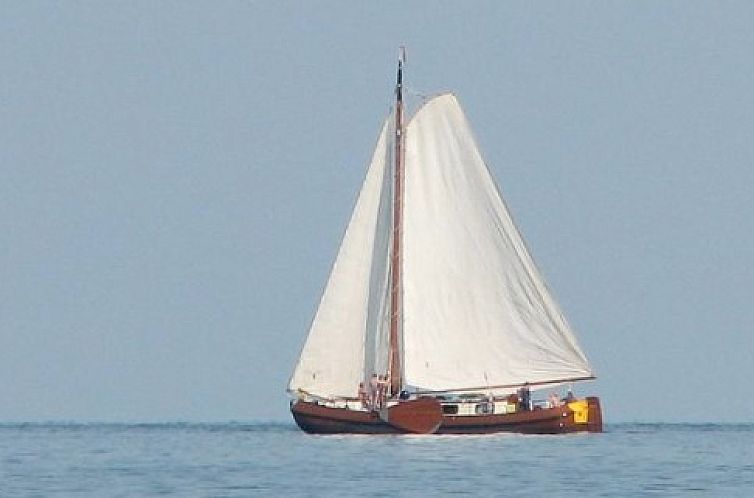 Zeilboot Drie Gebroeders op de Friese meren in Gaastmeer, geniet van een unieke vakantie-ervaring op het water.