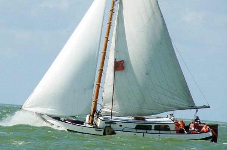 Zeilboot Nieuwe Onderneming in Gaastmeer, Friese meren, geniet van het avontuur op het water in deze unieke accommodatie.
