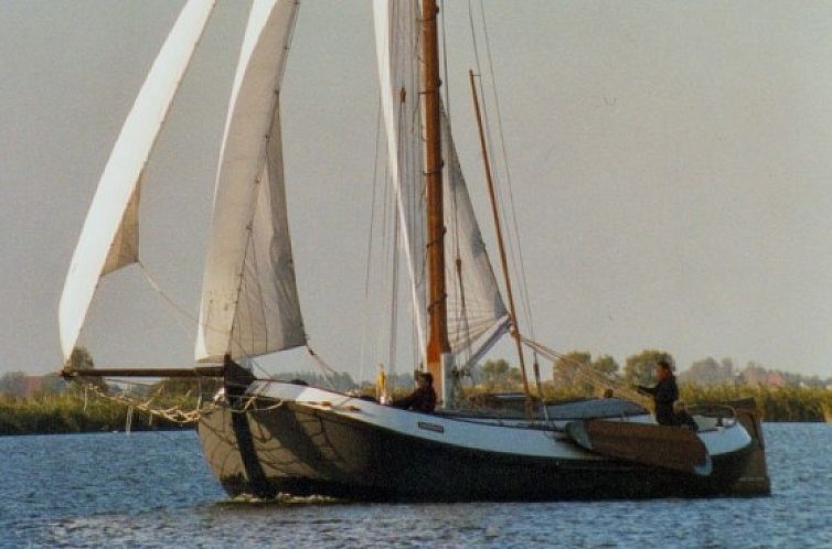 Zeilboot Westwind op de Friese meren in Gaastmeer, geniet van de natuur en het wateravontuur.