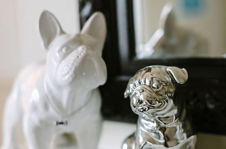 Vakantiehuis Gemütliches Haus für 10 Personen Stadt 15 Min