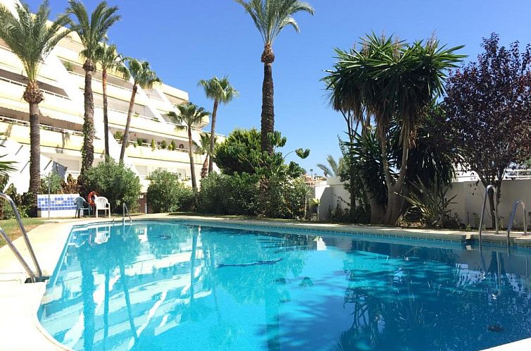 Palmeras del Golf - Torrequebrada