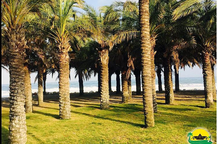 Palmeras del Golf - Torrequebrada
