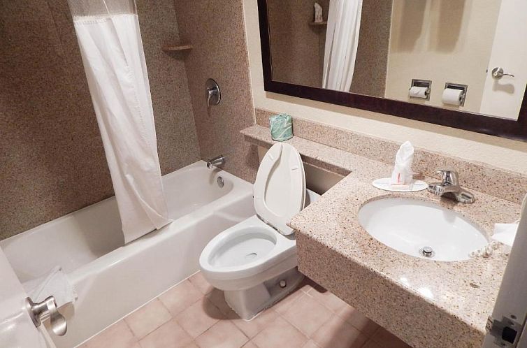 Howard Johnson by Wyndham Arlington Ballpark / Six Flags