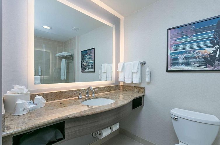 Hilton Garden Inn Dallas Arlington