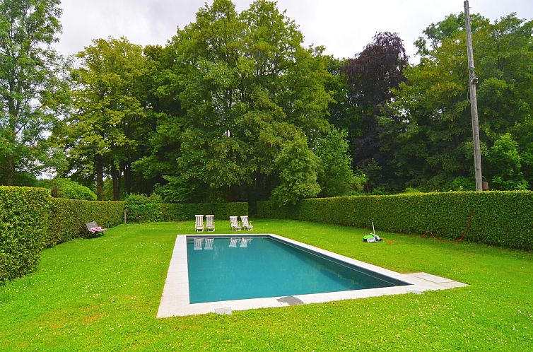 Le Vieux Tilleul du Château
