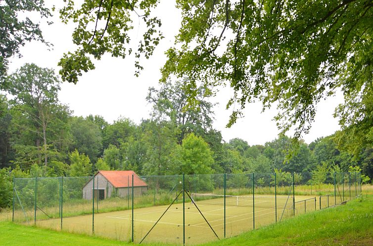 Le Vieux Tilleul du Château