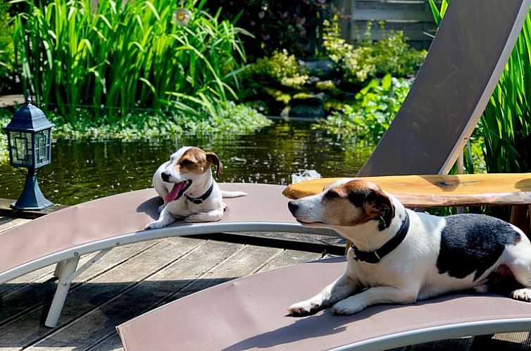 Vakantiehuisje in Havelange