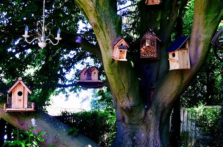 Vakantiehuisje in Havelange