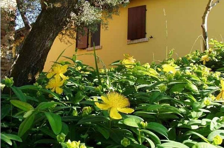 Appartement in Notaresco mit Grill und Garten