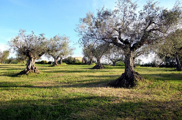 Appartement in Notaresco mit Grill und Garten
