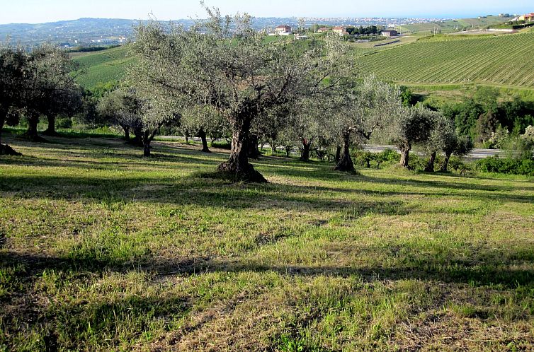 Appartement in Notaresco mit Grill und Garten