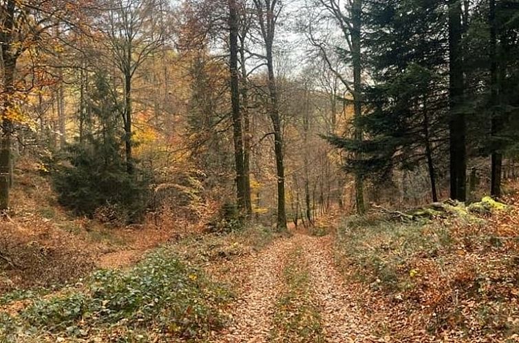 Vakantiehuis in Cornimont