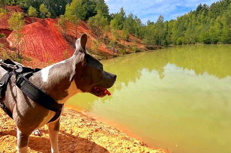 La Maison du Sabotier
