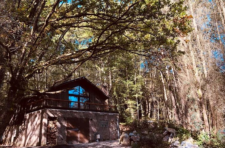 Vakantiehuisje in Viroinval, gelegen in de bossen van de Ardennen, biedt een rustieke ervaring in een charmante vakantiewoning in Namen, Belgie.