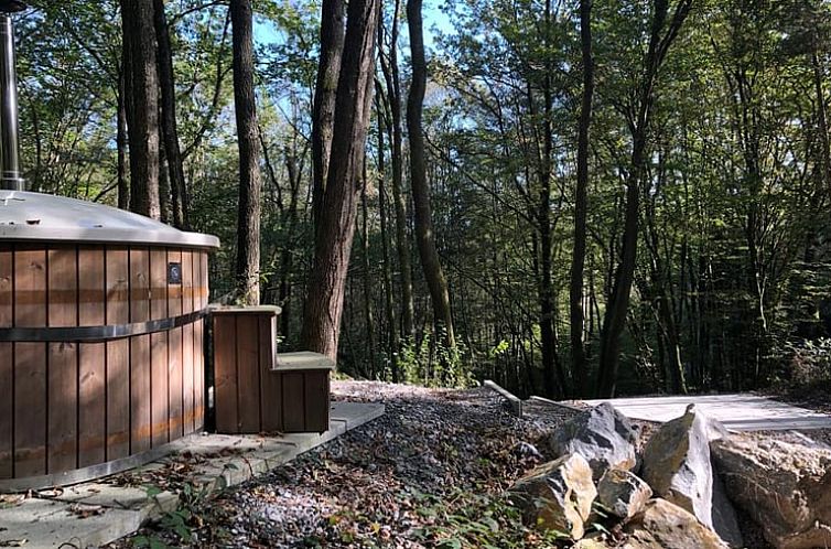 Vakantiehuisje in Viroinval