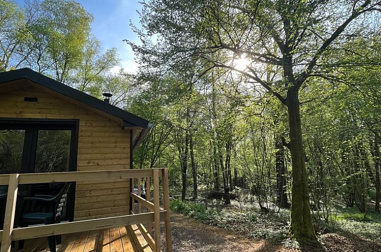 Vakantiehuis in Viroinval in de Ardennen, Belgie, met houten terras omgeven door serene bossen en zonlicht dat door de bomen schijnt.