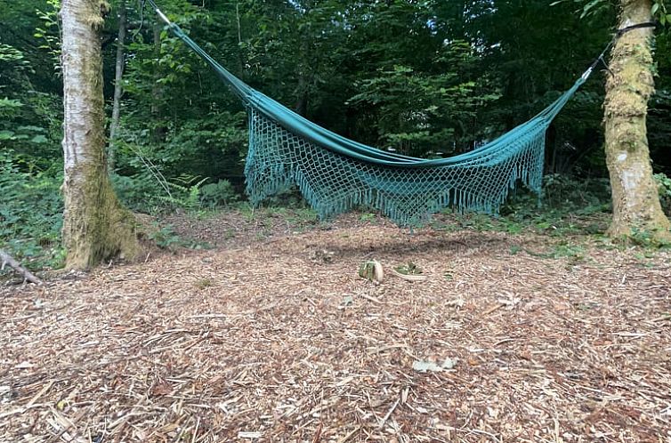 Vakantiehuis in Viroinval