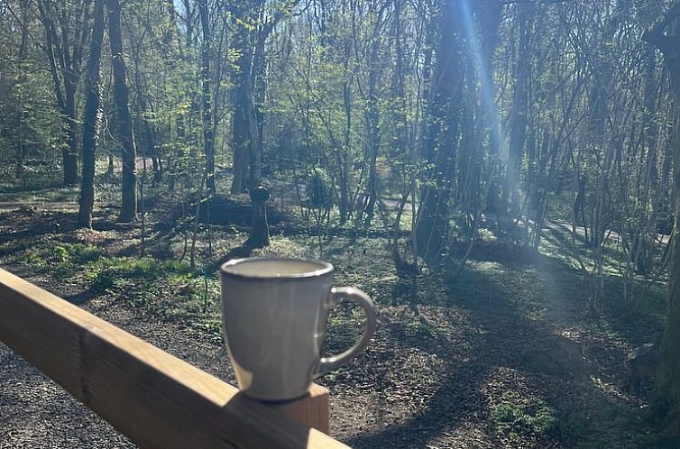 Vakantiehuis in Viroinval