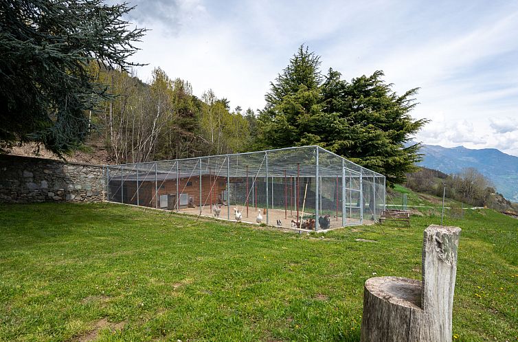 Appartement Chalet Remondet