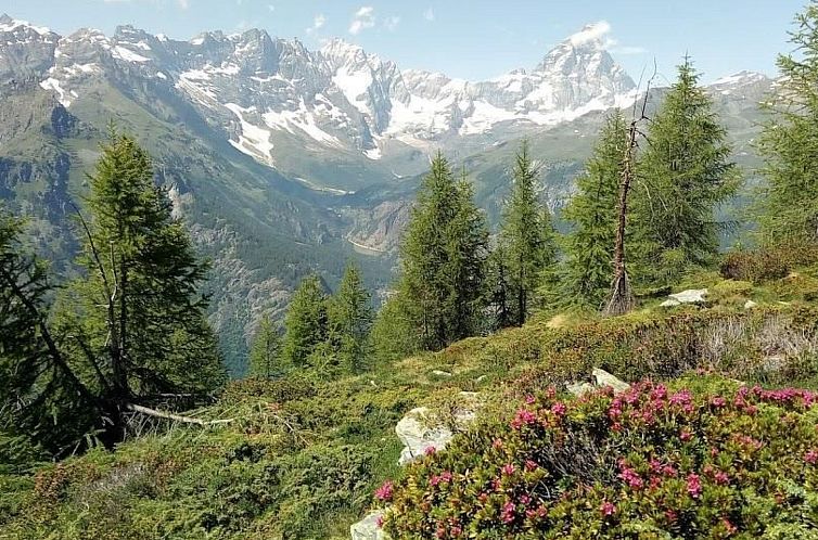 Appartement 'Lo Chalet' der Balkon über dem Matterhorntal