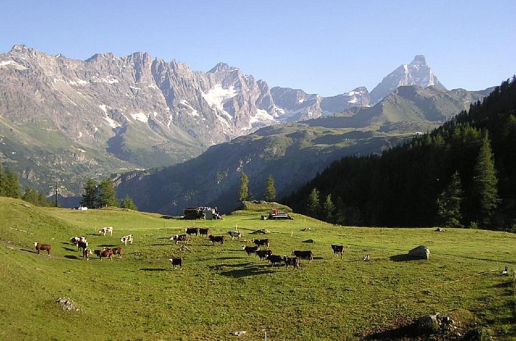 Appartement 'Lo Chalet' der Balkon über dem Matterhorntal