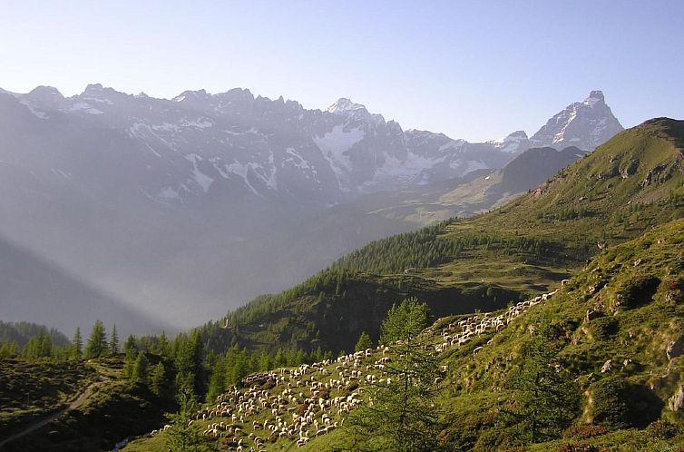 Appartement 'Lo Chalet' der Balkon über dem Matterhorntal