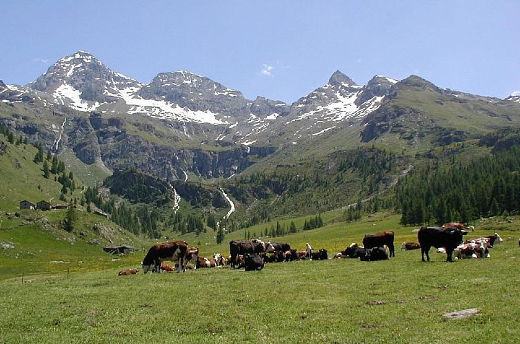 Appartement 'Lo Chalet' der Balkon über dem Matterhorntal