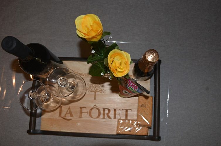 Gîte le Bohan - Le Refuge/La Forêt