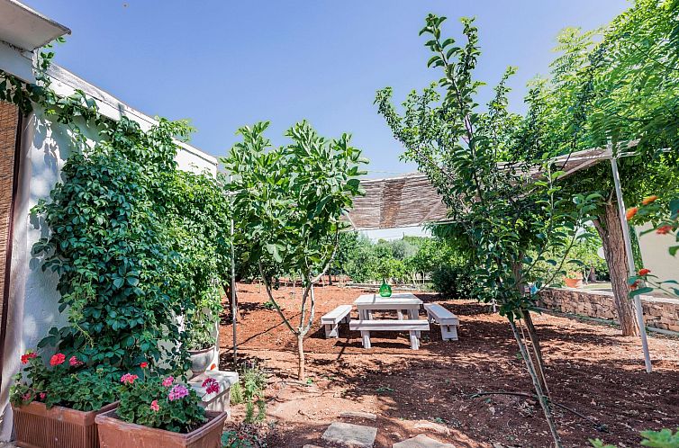 Appartement Casal del Borgo 4