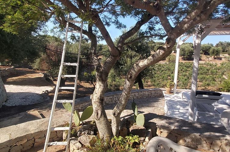 Guest house 0850562 - Apartment Apulia / Puglia - Appartement Villa Valle degli Ulivi