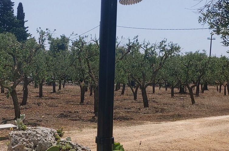 Appartement Villa Valle degli Ulivi