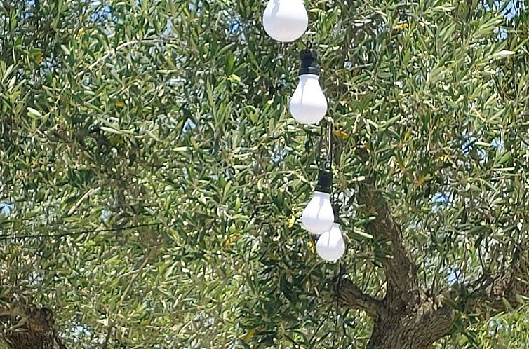 Appartement Villa Valle degli Ulivi