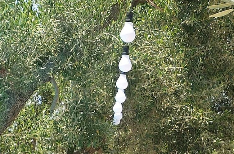 Appartement Villa Valle degli Ulivi