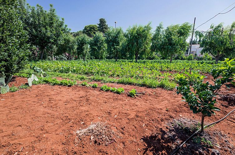 Appartement Casal del Borgo 5