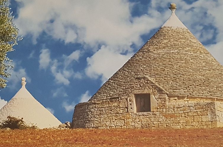 Appartement La Rosa dei Venti Wohnung